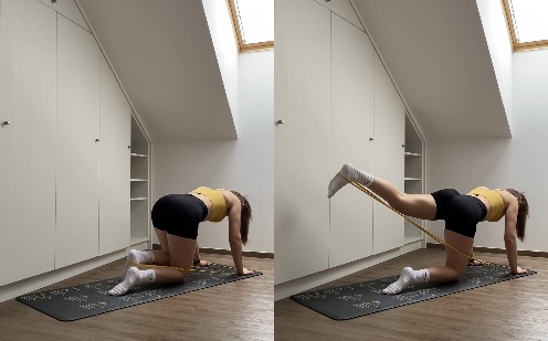 gluteus kickback